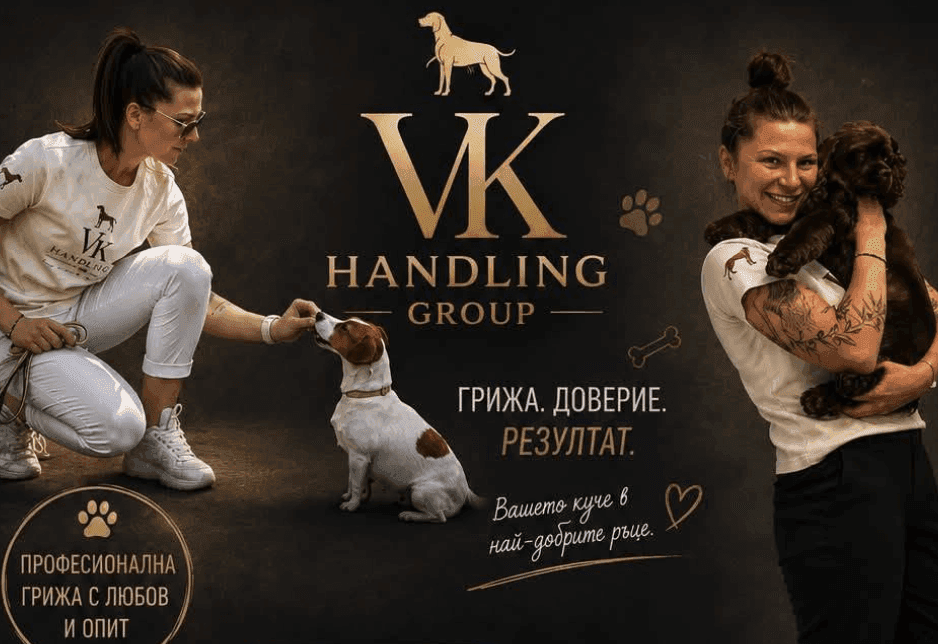 Банер на Училище и хотел за кучета VK HANDLING GROUP