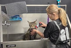 Банер на Pet Valley Груминг