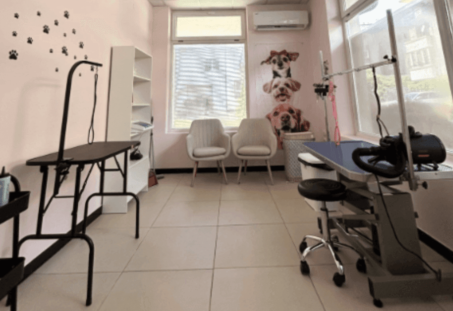 Банер на Crazy Dog Mom Grooming Salon