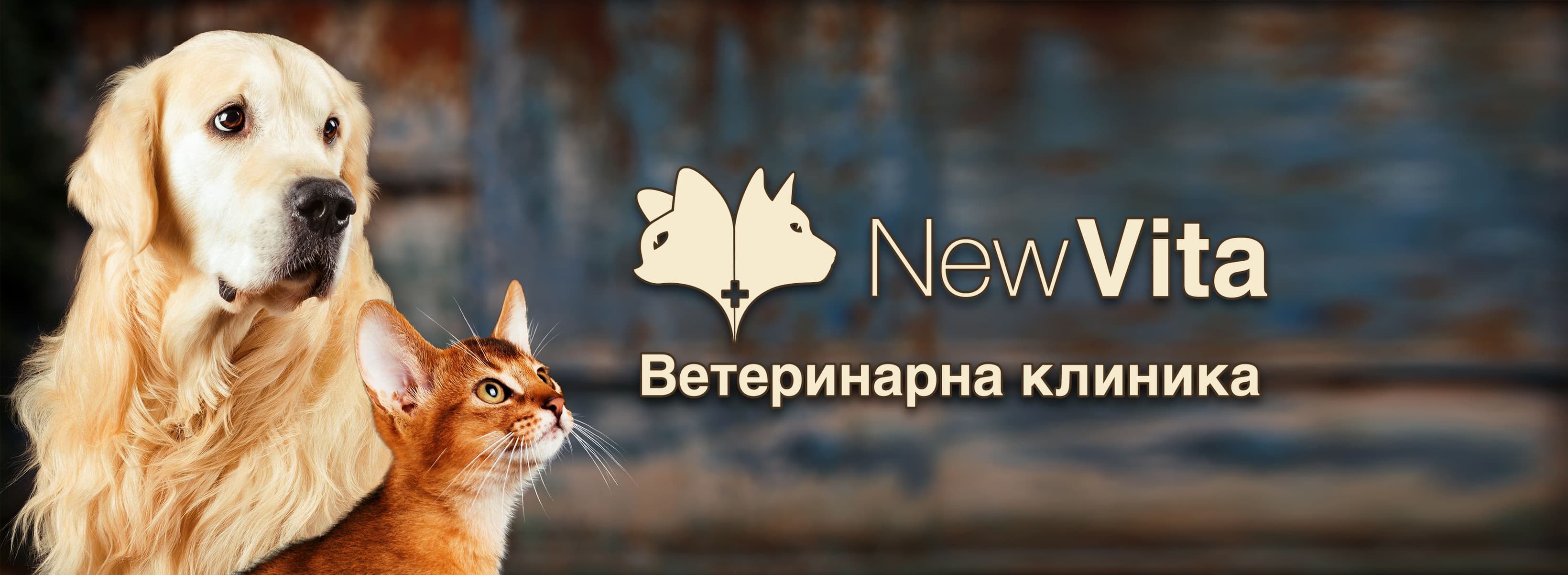 Банер на Ветеринарна клиника и хотел New Vita