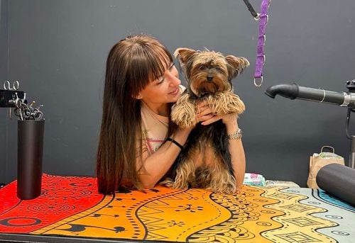 Pet Valley Груминг