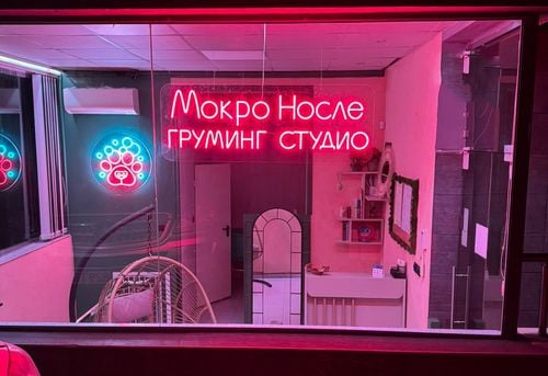 Груминг студио Мокро носле