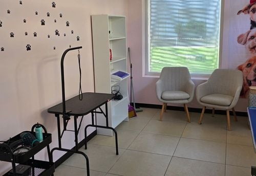 Crazy Dog Mom Grooming Salon