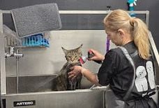 Pet Valley Груминг