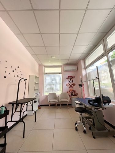 Crazy Dog Mom Grooming Salon