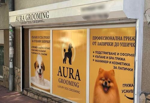 Aura Grooming